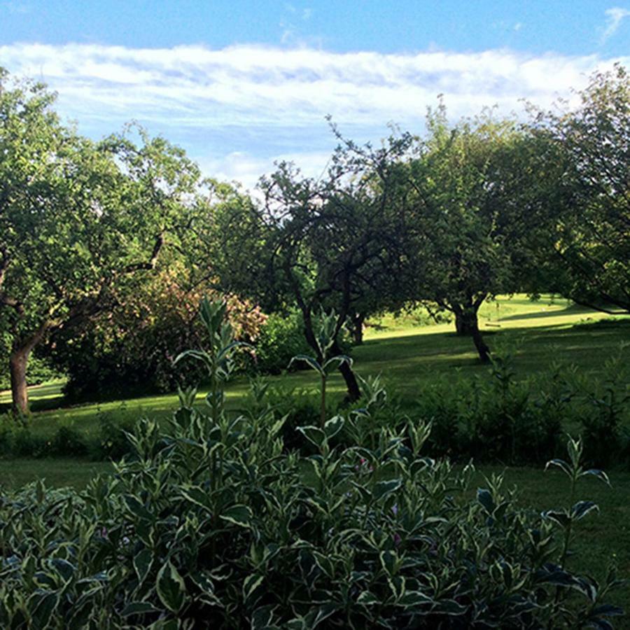 Beechfield Cottages Meopham  Zewnętrze zdjęcie